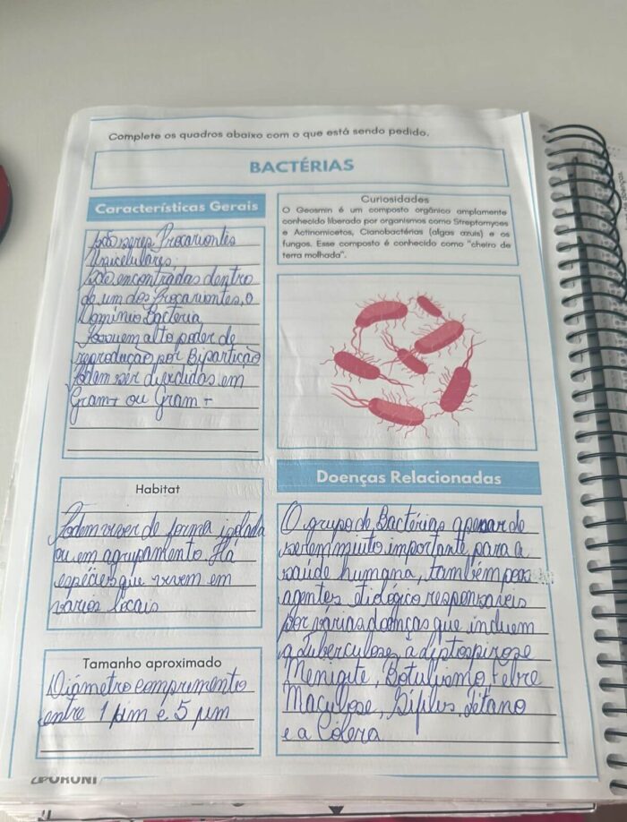 Organismos causadores de doenças: fungos, vírus, bactérias e protozoários. - Imagem 6