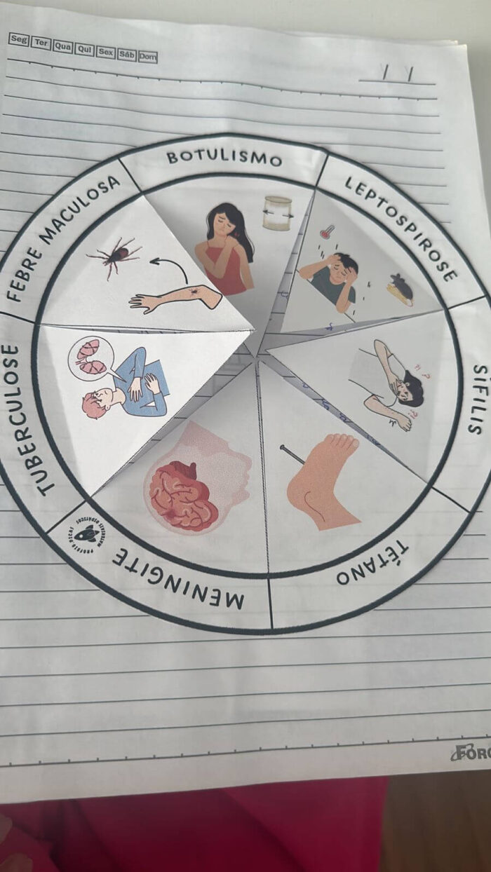 Organismos causadores de doenças: fungos, vírus, bactérias e protozoários. - Imagem 2