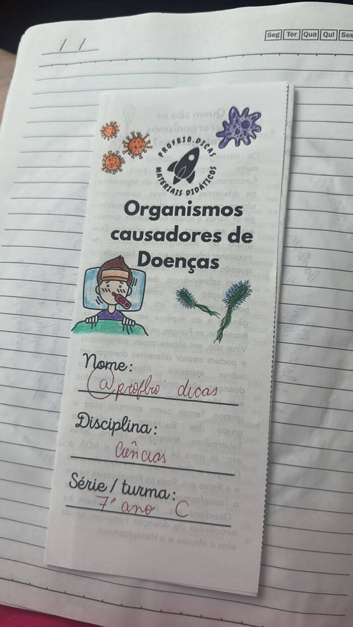 Organismos causadores de doenças: fungos, vírus, bactérias e protozoários. - Imagem 4