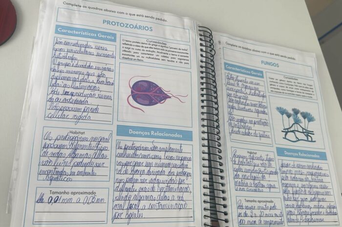 Organismos causadores de doenças: fungos, vírus, bactérias e protozoários. - Imagem 10