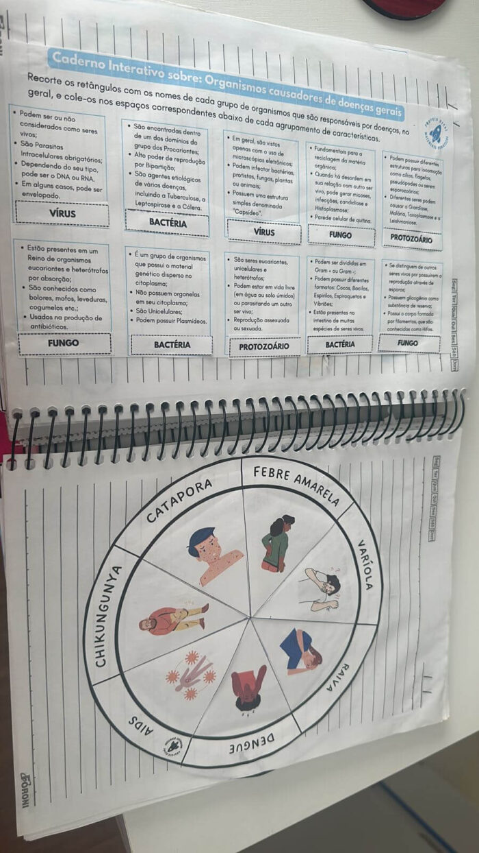 Organismos causadores de doenças: fungos, vírus, bactérias e protozoários. - Imagem 8