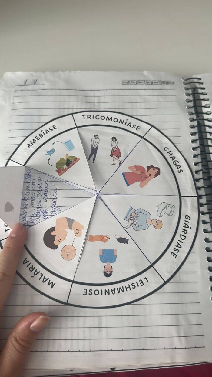 Organismos causadores de doenças: fungos, vírus, bactérias e protozoários. - Imagem 7
