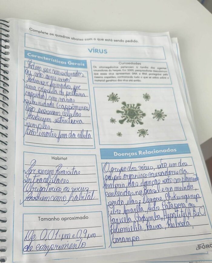 Organismos causadores de doenças: fungos, vírus, bactérias e protozoários. - Imagem 9