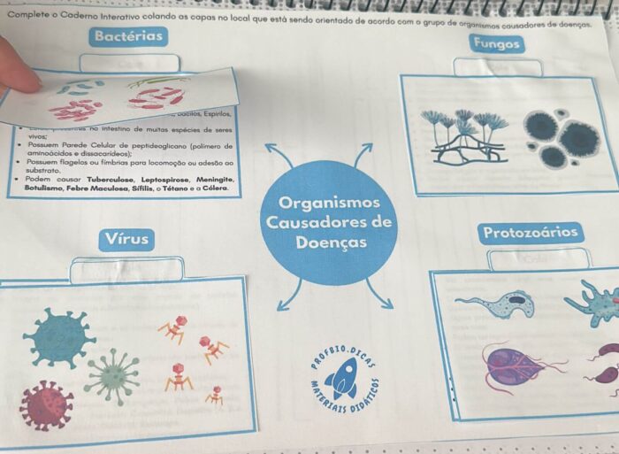 Organismos causadores de doenças: fungos, vírus, bactérias e protozoários. - Imagem 5