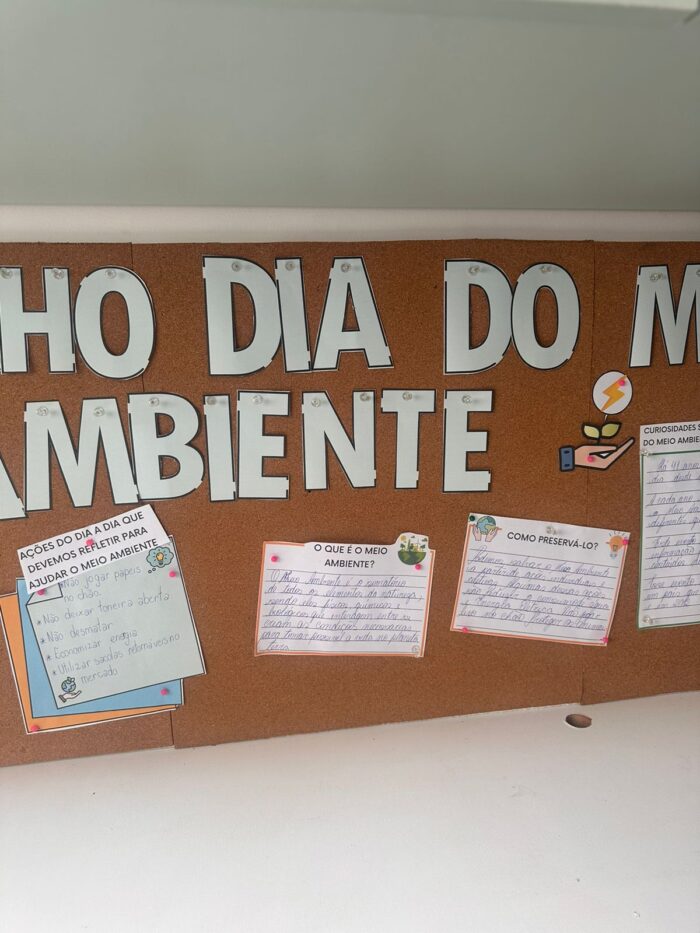 Atividade temática dia do meio ambiente- 05 junho. (Leia descrição) - Imagem 4