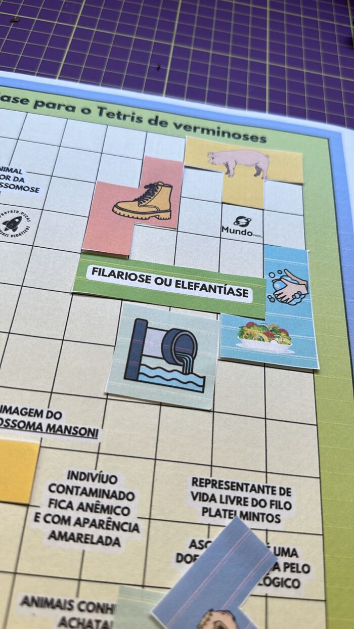 Jogo de Tetris - Verminoses : platelmintos e nematelmintos - Imagem 3