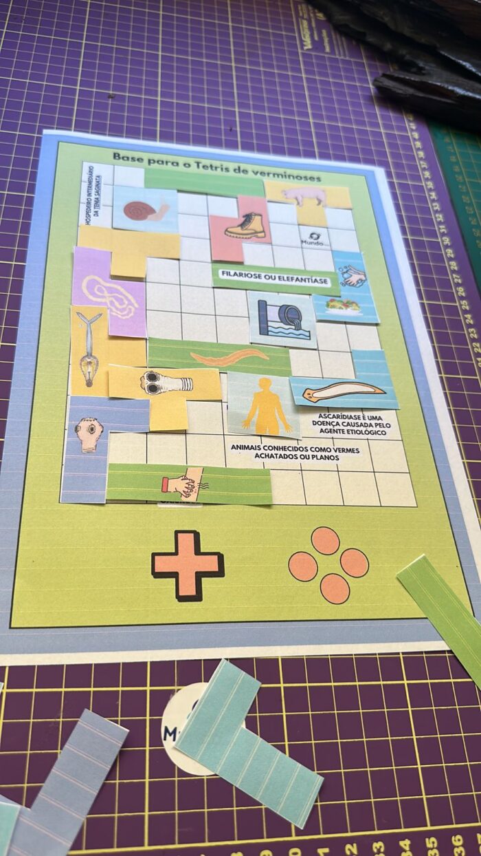 Jogo de Tetris - Verminoses : platelmintos e nematelmintos - Imagem 4