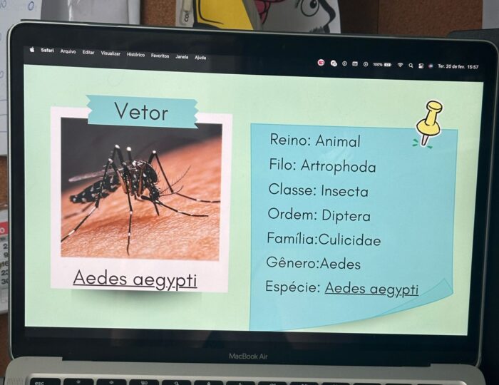 Kit - Slide: Dengue: O combate ao Aedes aegypti +  dinâmica “fato, fake ou depende?“ - Imagem 5